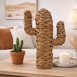 Cactus decorativo tejido estilo natural sobre fondo blanco